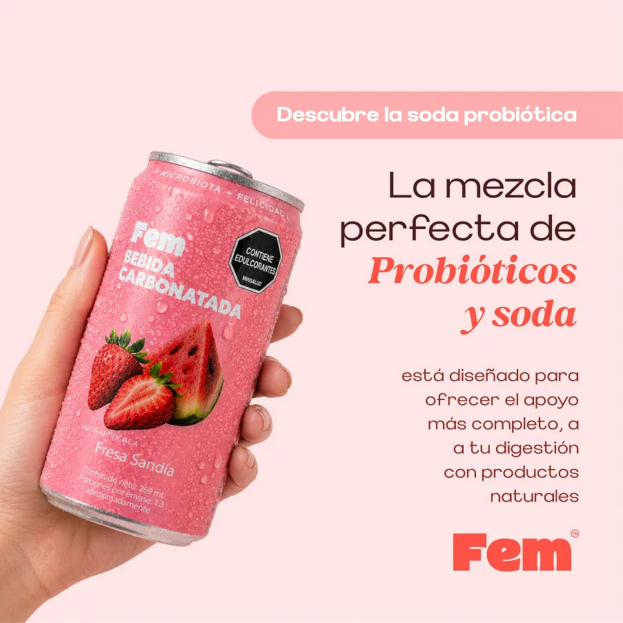 Soda Prebiótica x 6 UND